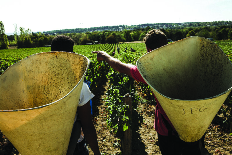 Comment Dijon, certes réputée pour sa moutarde ou sa crème de cassis, a-t-elle réussi à s’imposer comme un porte-étendard de la gastronomie française, alors qu’elle la jouait plutôt petits bras face à Lyon par exemple, qui se remet non sans mal de l’échec de sa cité de la gastronomie ?