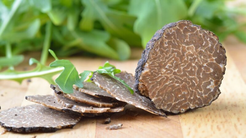 La Côte d’or j’Adore : la Côte d’Or gourmande