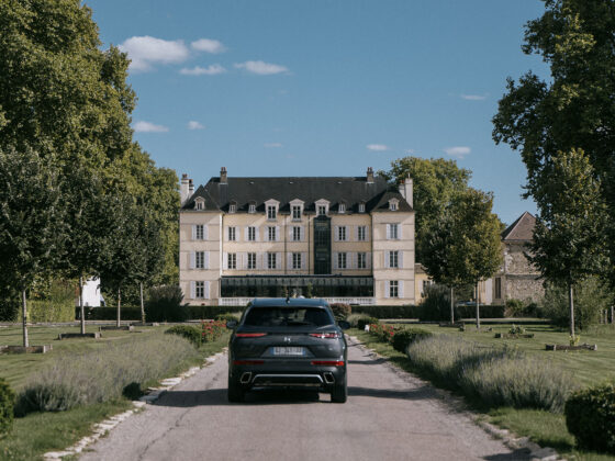 Road Trip Route des Grands Crus : Le Domaine de Saulon (6/6)