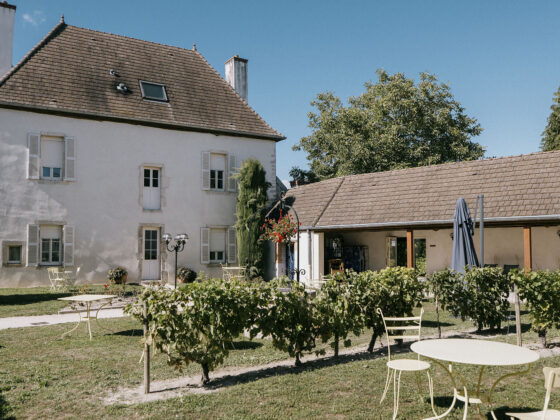 Road Trip des Grands Crus : L’Orée des Vignes (3/6)