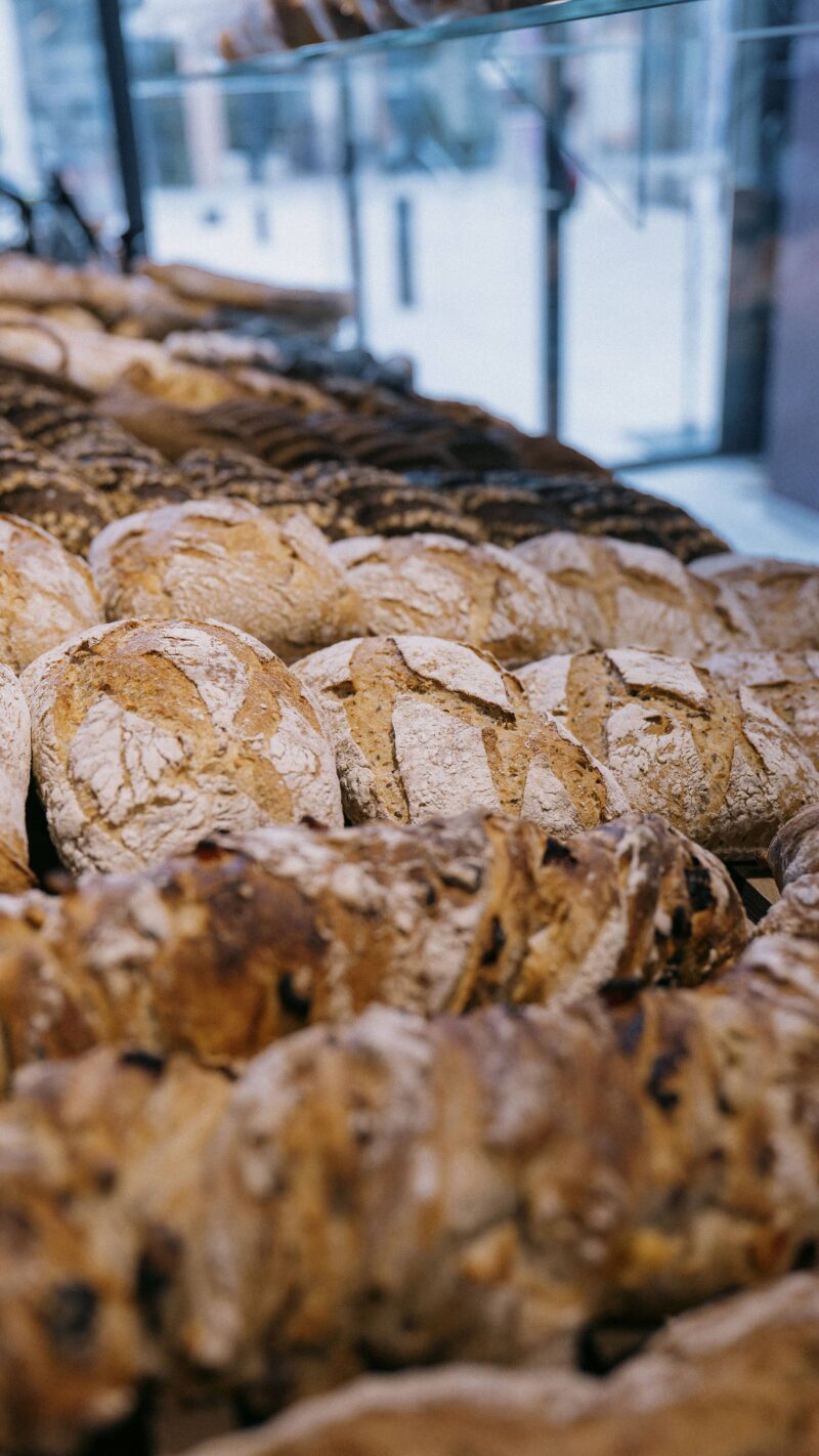 Road Trip dijonnais : Le Village Gastronomique (2/8)