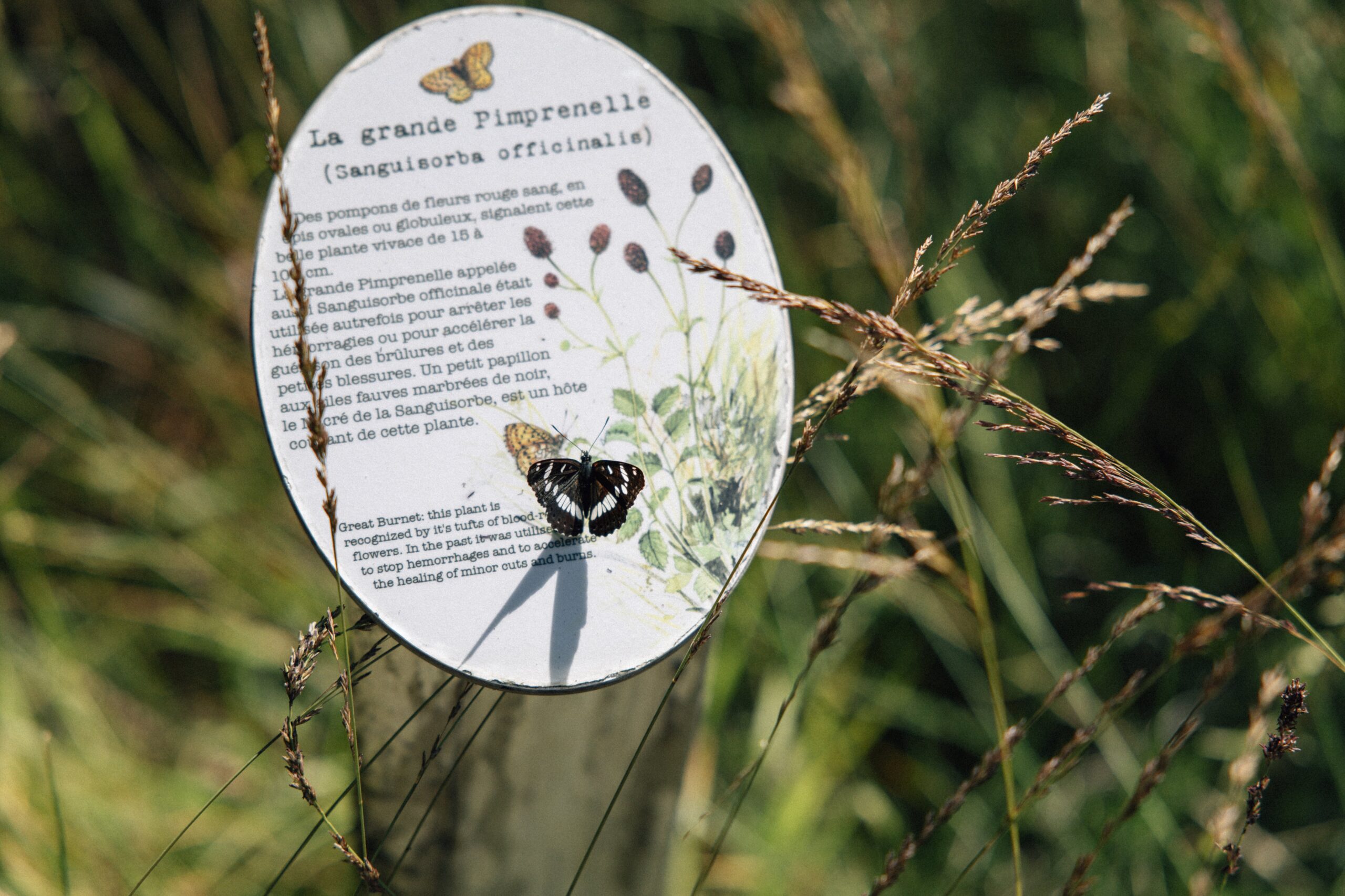 PNF : Invitation à la déconnexion