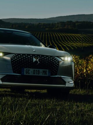 DS STORE L'élégance à la bourguignonne