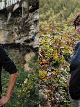 Saint-Vincent tournante 2024 : la guerre des boutons n'aura pas lieu