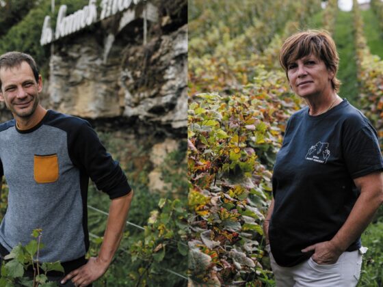 Saint-Vincent tournante 2024 : la guerre des boutons n'aura pas lieu