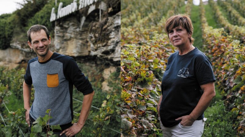 Saint-Vincent tournante 2024 : la guerre des boutons n'aura pas lieu