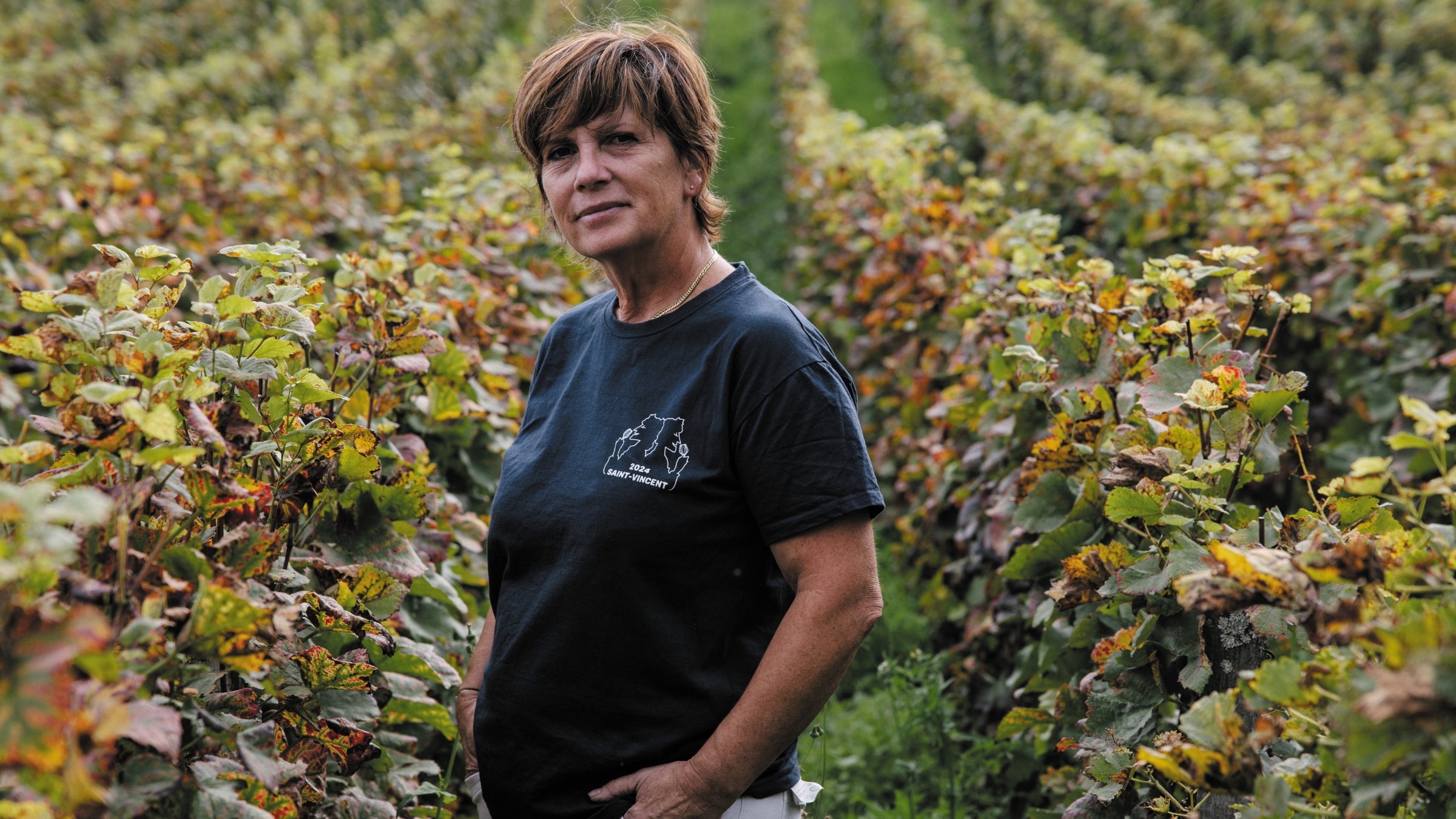 Saint-Vincent tournante 2024 : la guerre des boutons n'aura pas lieu